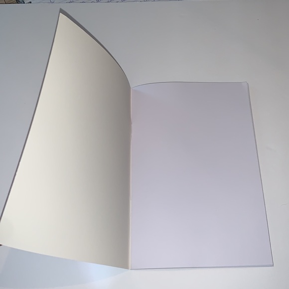 Silver Foil Metallic Unlined Blank Notebook 📒 - Picture 2 of 5